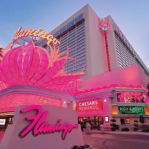 אתר נופש Flamingo Vegas & Casino, לאס וגאס